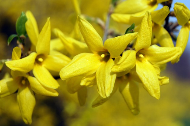 사본 -DSC04729640.jpg 사본 -DSC04729640.jpg